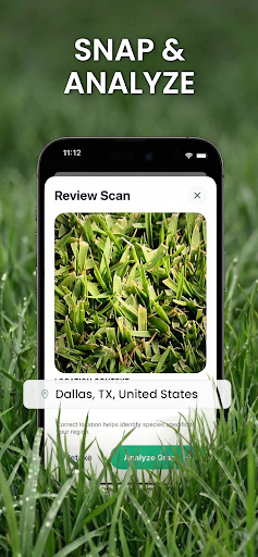 Grass Identifier: Turf AI & ID ekran görüntüsü