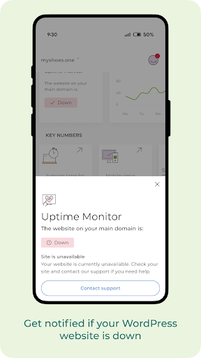 one.com Companion ekran görüntüsü