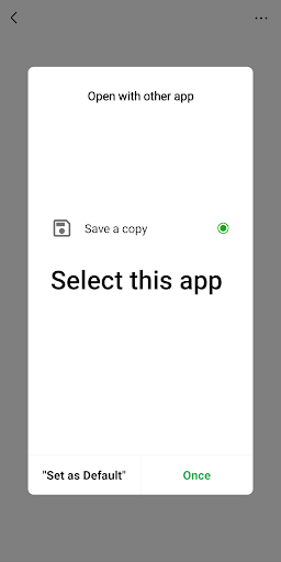 Save Copy ekran görüntüsü