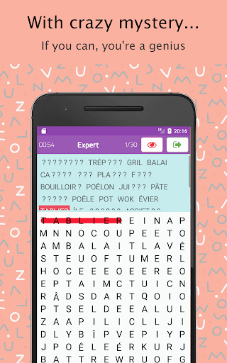 Word Search French Dictionary ekran görüntüsü