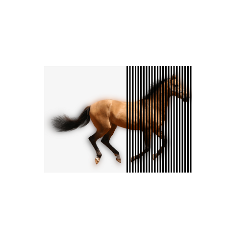 illusion animation scanner - a