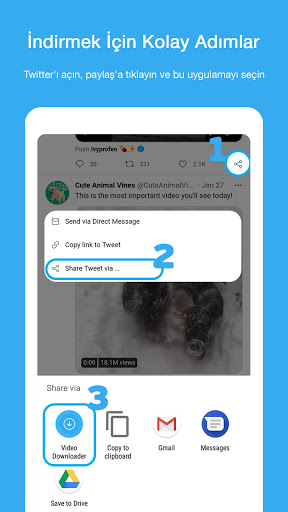 Twitter Video indirici ekran görüntüsü