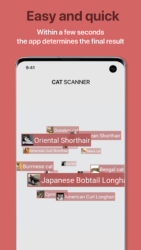 Cat Scanner: Breed Recognition ekran görüntüsü