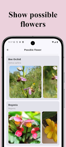 Flower Identification ekran görüntüsü