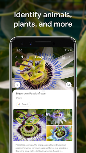 Google Lens ekran görüntüsü
