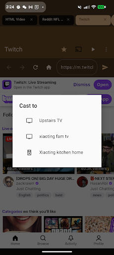 CastFox ekran görüntüsü