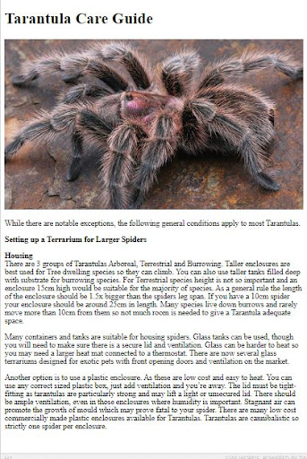 Pet Tarantula Care Guide ekran görüntüsü