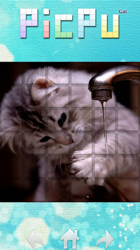 PicPu - Cat Picture Puzzle ekran görüntüsü