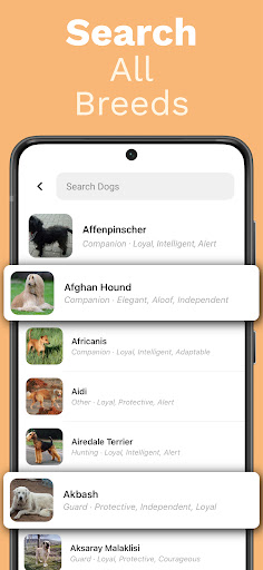 Dog Identifier - Scan with AI ekran görüntüsü