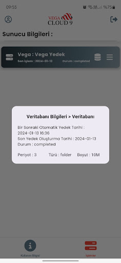 Vega Cloud9 ekran görüntüsü