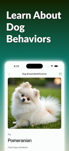 Dog Breed Identifier With AI ekran görüntüsü