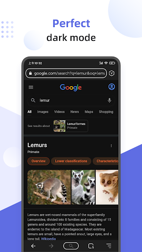 Lemur Browser - Extensions ekran görüntüsü