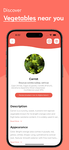 Vegetable Identifier ekran görüntüsü