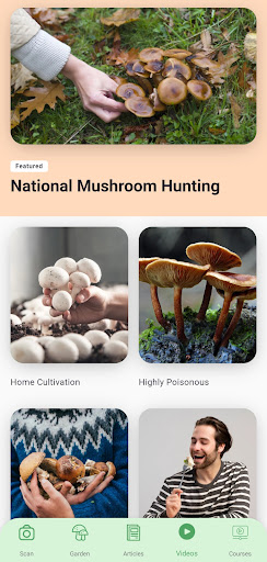 Mushroom Identifier by Picture ekran görüntüsü