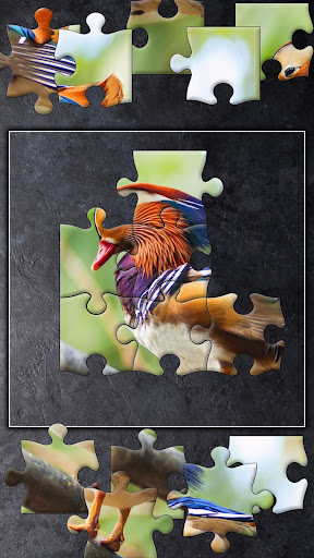Jigsaw Puzzles Titan ekran görüntüsü