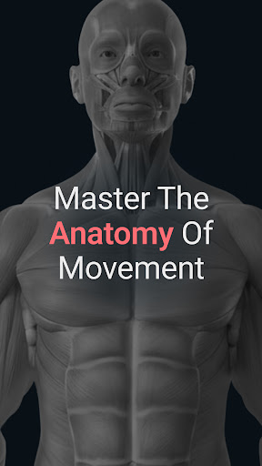 Anatomy by M&M ekran görüntüsü
