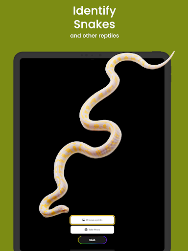 Snake ID - reptile identifier ekran görüntüsü