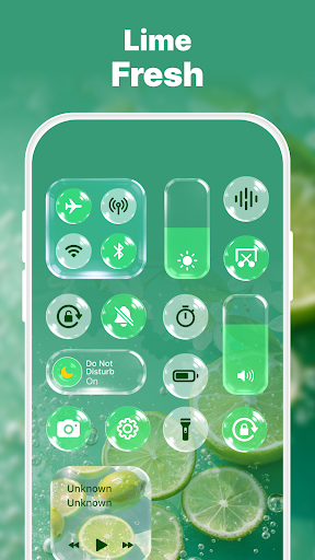 Control Widget: Theme & Panels ekran görüntüsü