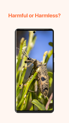 Insect Identifier App AI ekran görüntüsü