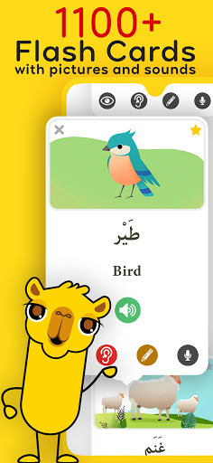 Arabic Unlocked Learn Arabic ekran görüntüsü