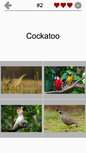 Bird World - Famous Birds Quiz ekran görüntüsü