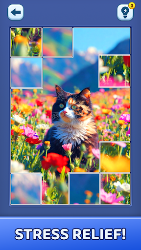 Video Jigsaw Puzzle ekran görüntüsü