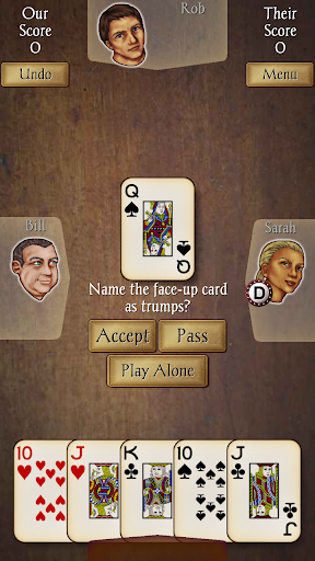 Euchre Pro ekran görüntüsü