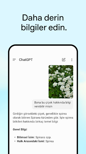 ChatGPT ekran görüntüsü