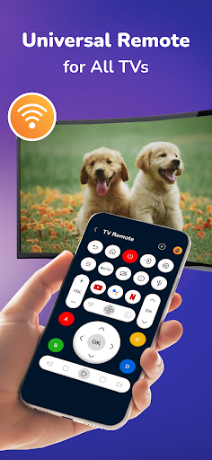 Universal TV Remote for All TV ekran görüntüsü