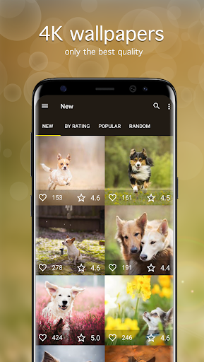 Dog Wallpapers & Puppy 4K ekran görüntüsü