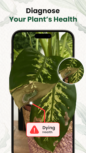 AI Plant Identifier & Care ekran görüntüsü