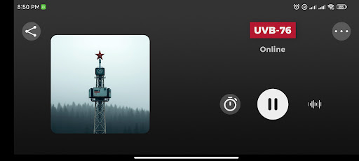 UVB-76 "The Buzzer" ekran görüntüsü