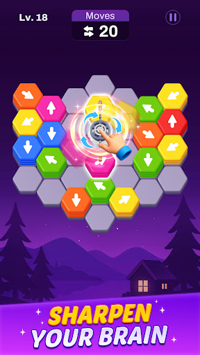 Hexout - Color Hexa Puzzle ekran görüntüsü