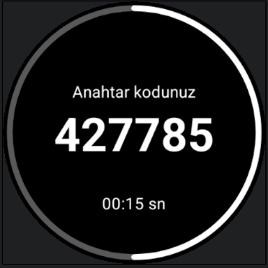 e-Devlet Anahtar ekran görüntüsü
