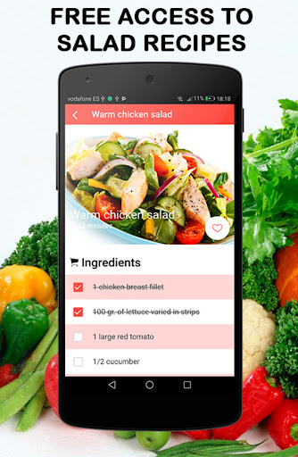 Easy & Healthy Salad Recipes ekran görüntüsü