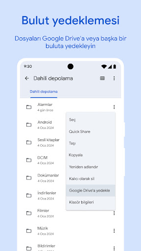 Google Files ekran görüntüsü