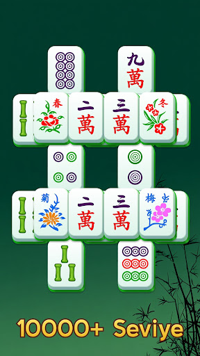 Lüks Mahjong ekran görüntüsü