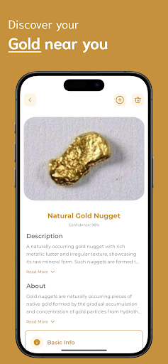 Gold Identifier ekran görüntüsü