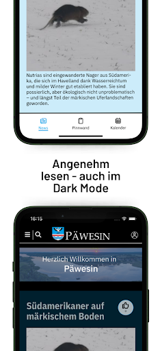 Päwesin ekran görüntüsü