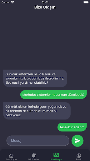 Gümrük Sistem Durumu ekran görüntüsü