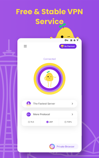 VPN PotatoVPN - WiFi Proxy ekran görüntüsü