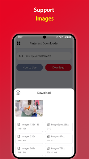 Downloader for Pinterest ekran görüntüsü