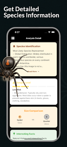 Spider Identifier Spider ID ekran görüntüsü