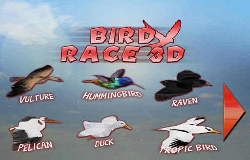 Bird Race 3D ekran görüntüsü