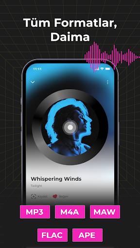 Audio Insight-Çevrimdışı Müzik ekran görüntüsü