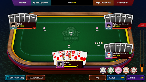 Türk Pokeri ekran görüntüsü