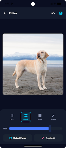 Blur Face ekran görüntüsü