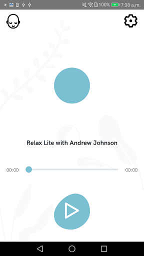 Relax with Andrew Johnson Lite ekran görüntüsü