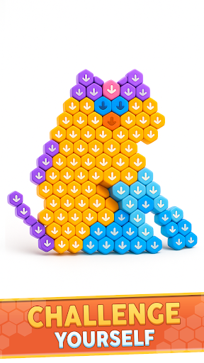 Hexa Color Sorting Away Puzzle ekran görüntüsü