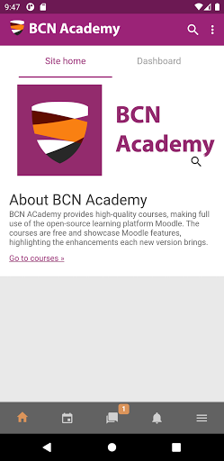 BCN Academy ekran görüntüsü